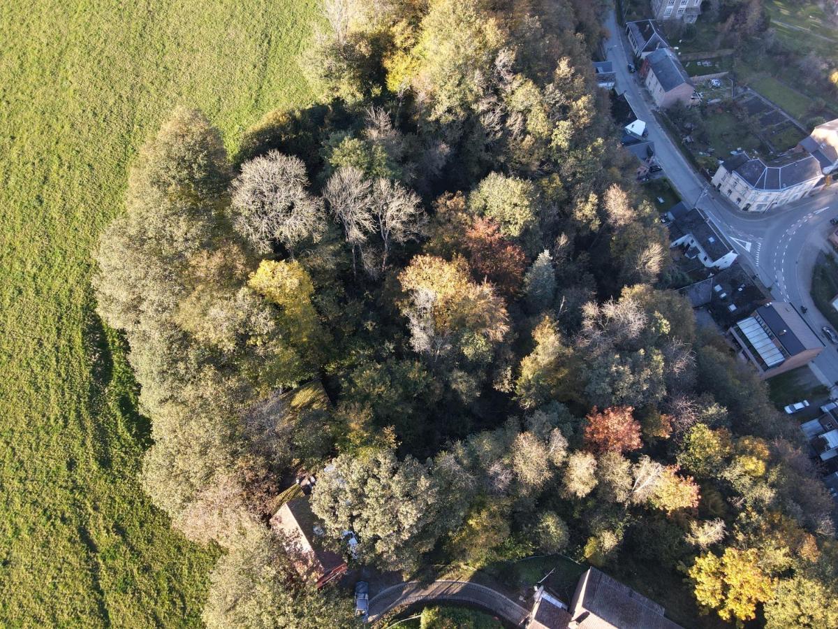 הוייט Gites Douillets A L'Oree Des Bois. מראה חיצוני תמונה